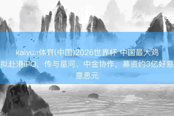 kaiyun体育(中国)2026世界杯 中国最大鸡排店拟赴港IPO，传与星河、中金协作，募资约3亿好意思元
