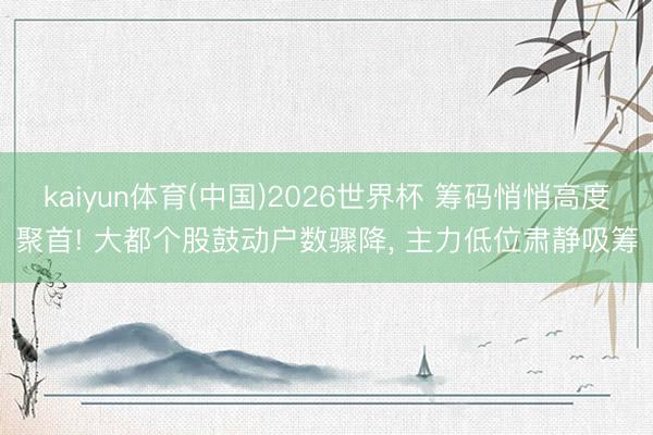 kaiyun体育(中国)2026世界杯 筹码悄悄高度聚首! 大都个股鼓动户数骤降， 主力低位肃静吸筹